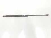 Gasdruckfeder Set Vorne 60658924 Alfa Romeo 166 Limousine 2.4 JTD (839.A.6000) 1999
