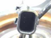 Achsschenkel Links Vorne 400155653R Renault SIN DEFINIR SIN DEFINIR