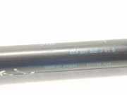 Gasdruckfeder Hinten 8E5827552J Seat Exeo (3R2) Limousine 2.0 TSI 16V (CDND) 2011