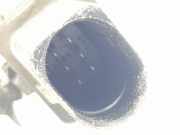 Lambdasonde 68321552AA Jeep Compass II (MP) SUV 1.6 D 16V Multijet II (EJJ) 2018