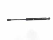 Gasdruckfeder Set Vorne 51237008745 BMW 5 serie (E60) Limousine 530d 24V (M57N-D30(306D2)) 2003
