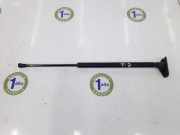 Gasdruckfeder Hinten 6895002041 Toyota Corolla (E12) Schrägheck 2.0 D-4D 16V 116 (1CD-FTV) 2006