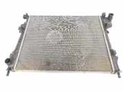 Radiator 8200411166 Renault Trafic New (JL) Bus 2.0 dCi 16V 115 (M9R-780) 2008