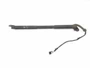 Gasdruckfedern Set Hinten 51247340975 BMW 3 serie Touring (F31) Kombi 318d 2.0 16V (N47-D20C) 2013