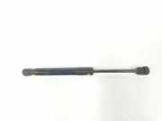 Gasdruckfeder Set Vorne 51237239233 BMW 2 serie (F22) Coupé 230i 2.0 Turbo 16V (B48-B20B) 2016