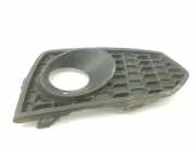 Stoßstangengitter RECHTS VOOR 51118055320 BMW 2 serie (F22) Coupé 218d 2.0 16V (B47-D20A) 2017