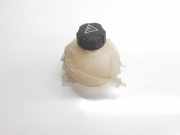 Ausgleichbehälter 1323X6 Citroën DS5 (KD/KF) Schrägheck 5-drs 2.0 HDi 16V 200 Hybrid4 (DW10CTED4(RHC))