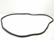 Heckklappe Gummi 6F9827705G Seat Ibiza V (KJB) Schrägheck 5-drs 1.0 TSI 12V (DLAA) 2023