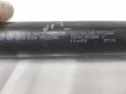 Gasdruckfeder Vorne 654704175R Dacia Dokker (0S) Großraumlimousine 1.5 dCi 90 (K9K-612(K9K-C6)) 2012