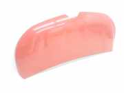 Motorhaube 651224338R Renault L1H1 29t Komfort