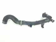 Luftansaugrohr 1695011480 Peugeot Boxer (U9) Van 2.2 BlueHDi 140 (B22LUE(46356294))