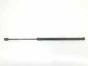Gasdruckfedern Set Hinten 51247127875 BMW 3 serie Touring (E91) Kombi 325d 24V (M57N2-D30(306D3)) 2007