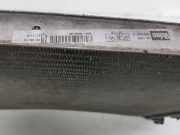 Radiator LR039623 Land + Range Rover Freelander II Geländewagen 2.2 td4 16V (224DT) 2010