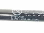 Gasdruckfedern Set Hinten 81781J7000 Kia CEED 1.6 CRDi (116 CV) 2018