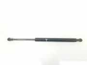 Gasdruckfedern Set Hinten 51248254281 BMW 3 serie (E46/4) Limousine 320d 16_V (M47N(204D4)) 2004