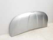 Motorhaube 651224338R Renault L1H1 29t Komfort