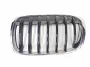 Grill 51137354823 BMW X1 (F48) SUV xDrive 18d 2.0 16V (B47-C20A) 2017
