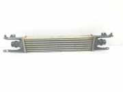 Ladeluftkühler 55702004 Opel Combo (Corsa C) Van 1.3 CDTI 16V (Z13DTJ) 2008