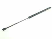 Gasdruckfeder Hinten 2429469 Ford Focus 4 Schrägheck 1.5 EcoBlue 120 (ZTDA) 2020