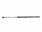 Gasdruckfedern Set Hinten 2GA827550C Volkswagen 1.5 16V TSI ACT (150 CV) 2022 DPCA