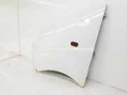 Kotflügel Links Vorne 6311300Q0A Nissan Primastar Van 1.9 dCi 80 (F9Q-762) 2004