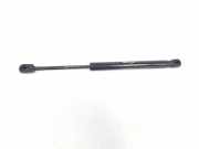 Gasdruckfeder Set Vorne 654701CA0A Infiniti FX (S51) SUV 30D 3.0 V6 24V AWD (V9X) 2014