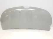 Motorhaube 651224338R Renault L1H1 29t Komfort 2020