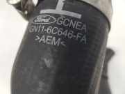 Intercooler Schlauch GN116C646FA Ford EcoSport (JK8) SUV 1.0 EcoBoost 12V 125 (M1JU) 2018