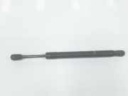 Gasdruckfedern Set Hinten 8E5827552J Audi A4 Avant (B7) Kombi 2.7 TDI V6 24V (BPP) 2007
