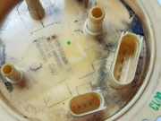 Vorförderpumpe 3Q0919050D Skoda Superb (3V3) Liftback 2.0 TDI (CRLB) 2018