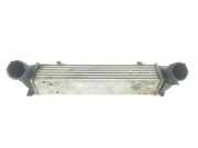 Ladeluftkühler 17517524916 BMW 1 serie (E87/87N) Schrägheck 5-drs 118d 16V (M47-D20(204D4)) 2006