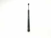 Gasdruckfeder Set Vorne 6700335130 Maserati Levante SUV SUV 3.0 Diesel (M16164D) 2018