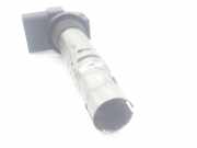 Zündspule 036905715G Seat 1.2 12V (69 CV) 2012