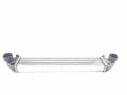 Ladeluftkühler A1695000900 Mercedes-Benz A (W169) Schrägheck 2.0 A-180 CDI 16V 5-Drs. (OM640.940(Euro 4))