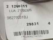 Innenbeleuchtung 98279031BJ Peugeot Expert (V1/VA/VB/VE/VF/VT/VY) Van 1.5 BlueHDi 100 (DV5RUCd(YHR))
