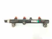 Einspritzdüsen Düsenstock A6640700295 SsangYong Kyron SUV 2.7 270 Xdi 20V 4x4 (M665.925(Euro 4)) 2010