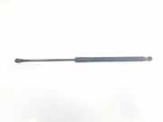 Gasdruckfedern Set Hinten 51247239871 BMW 1 serie (F20) Schrägheck 5-drs 118d 2.0 16V (N47-D20C) 2013
