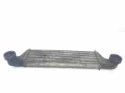 Ladeluftkühler 17517791231 BMW X5 (E53) SUV 3.0d 24V (M57N-D30(306D2)) 2005