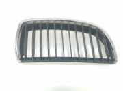 Grill Gitter Rechts 51137120008 BMW 3 serie (E90) Limousine 320i 16V (N46-B20B) 2005