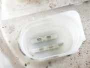 Vorförderpumpe 7243972 BMW 1 serie (F20) Schrägheck 5-drs 116d 2.0 16V (N47-D20C) 2014