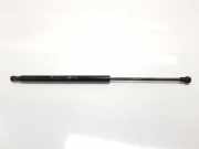 Gasdruckfedern Set Hinten 517854120 Fiat 500 (312) Schr?gheck 1.0 Hybrid (46341162) 2021