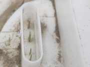 Vorförderpumpe A2124700194 Mercedes-Benz E Estate (S212) Kombi E-350 CDI V6 24V BlueTEC (OM642.852(Euro 5) 2013