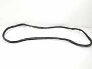 Heckklappe Gummi 5H6827705B Volkswagen Golf VIII (CD1) Schrägheck 2.0 GTI 16V (DNPA) 2021 DNPA
