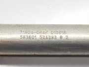 Gasdruckfedern Set Hinten A2178002800 Mercedes-Benz C (R205) Cabrio C-220d 2.2 16V BlueTEC (OM651.921(Euro 6))