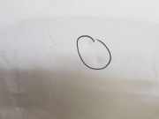 Motorhaube 651224338R Renault L1H1 29t Komfort