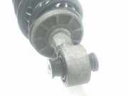 Stoßdämpfer Links Hinten 9829356780 DS DS 7 Crossback SUV 1.6 16V PureTech 180 (EP6FADTXD(5GF)) 2020 EP6FADTXD(5GF)