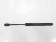 Gasdruckfeder Set Vorne 51237397494 BMW X3 (G01) SUV xDrive 30d 3.0 TwinPower Turbo 24V (B57-D30A) 2017