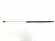 Gasdruckfeder Hinten BM51A406A10AD Ford Focus 3 Schrägheck 1.6 TDCi 95 (T3DB) 2011