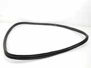 Türgummis T4K9198 Jaguar I-Pace SUV EV400 AWD (TZ204XSA) 2018