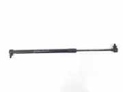 Gasdruckfeder Hinten FN1BN400A12AB Ford EcoSport (JK8) SUV 1.5 Ti-VCT 16V (UEJB(Euro 5)) 2016